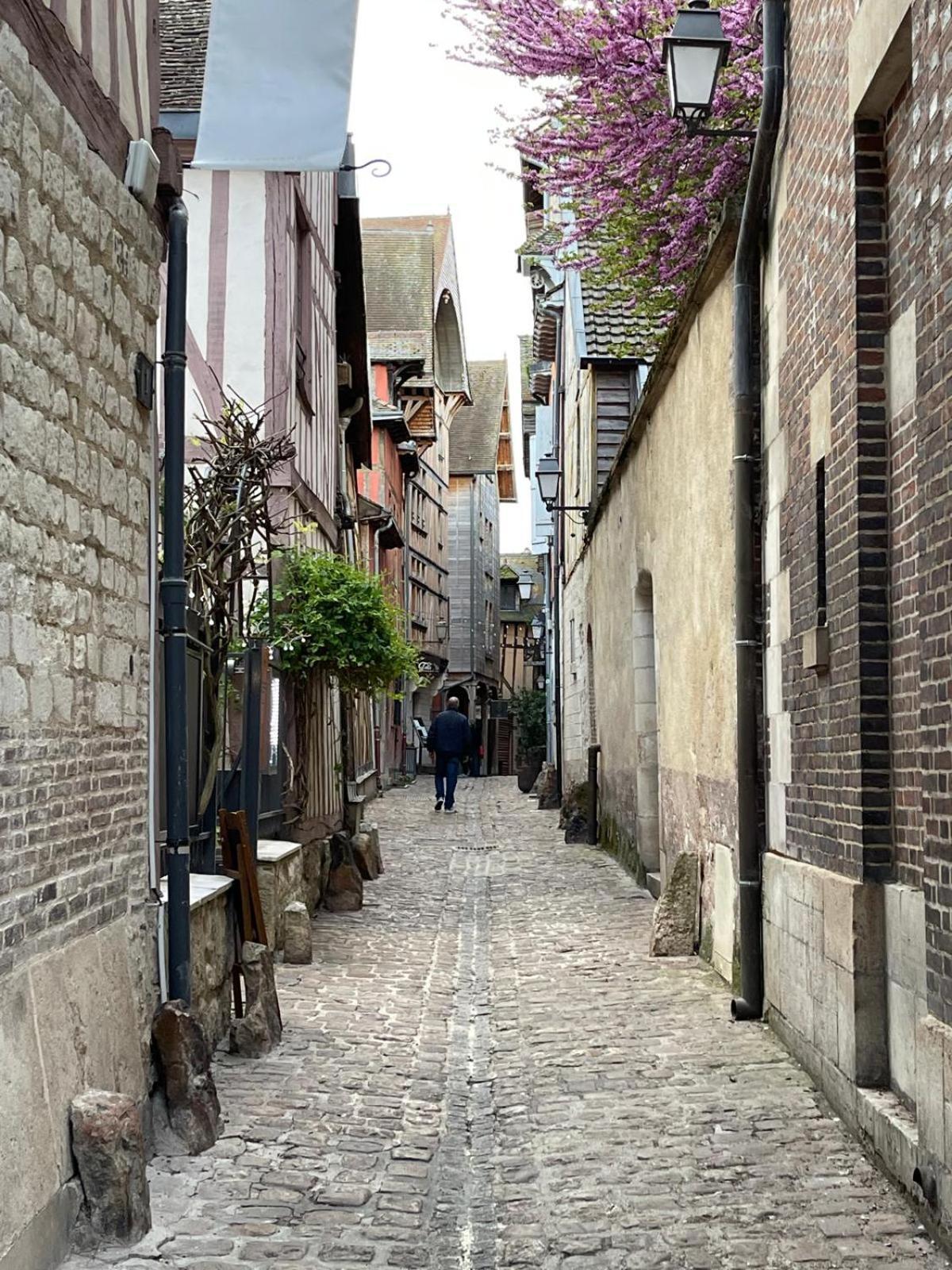 Un Brin De Bonheur Villa Troyes Exteriör bild